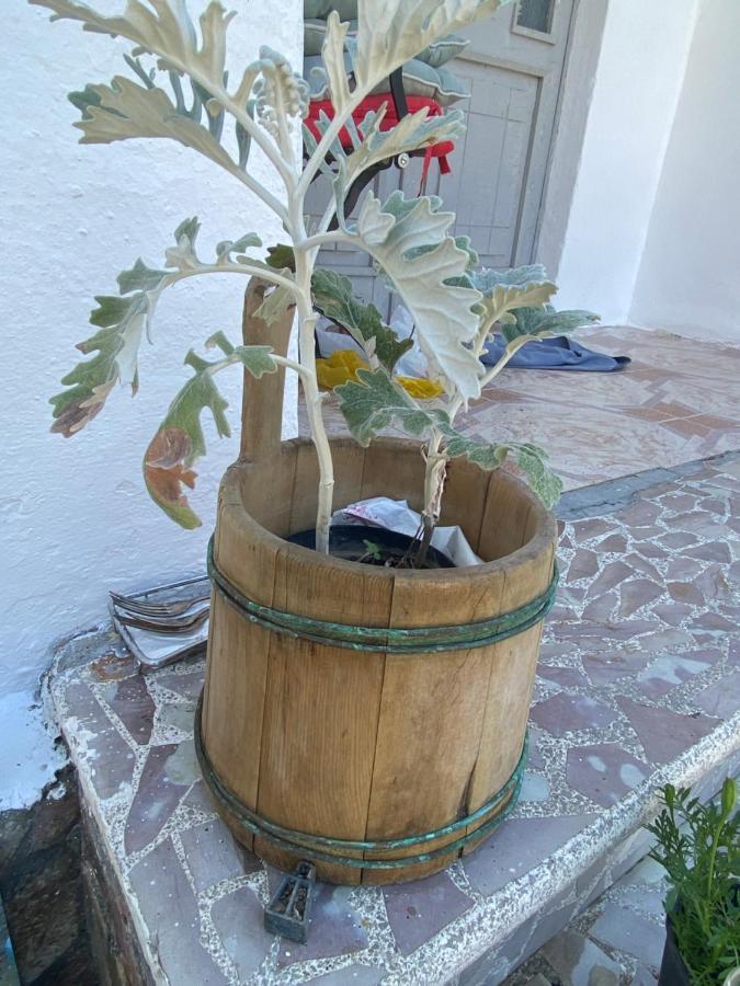 Rupa Guest House Camping Σκόδρα Εξωτερικό φωτογραφία